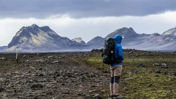 Quelle croisière offre des ateliers de cuisine mexicaine avec des chefs locaux en mer?